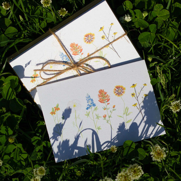 Texas Wildflower Notecards - Set of 8