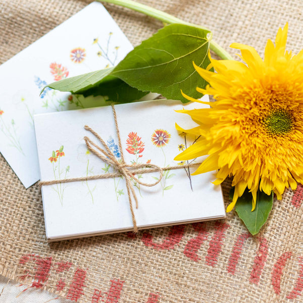 Texas Wildflower Notecards - Set of 8