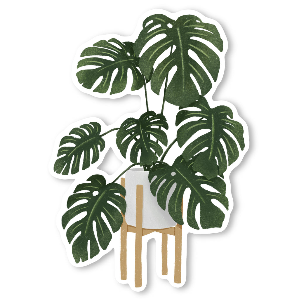 Monsteria Sticker Monstera Vinyl Sticker – Finch and Flourish