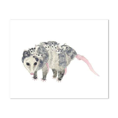 Opossum Passel Print