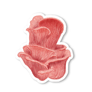 Pink Oyster Mushroom Vinyl Sticker