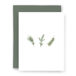 Pine Branches Card