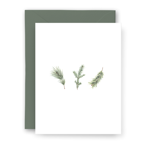 Pine Branches Card