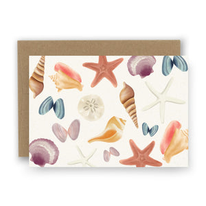 Seashells Pattern Notecards - Set of 8