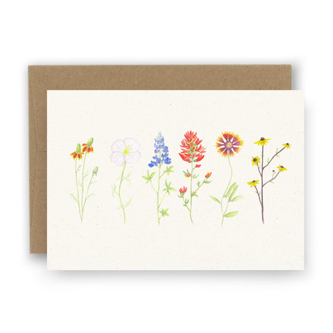 Texas Wildflower Notecards - Set of 8