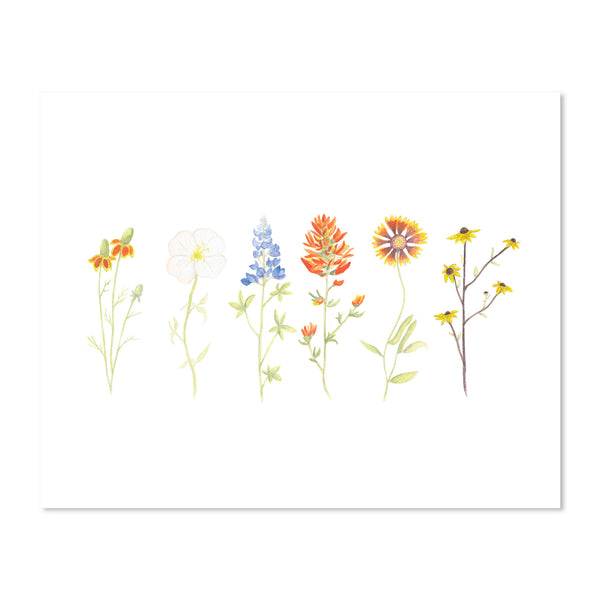 Texas Wildflower Art Print